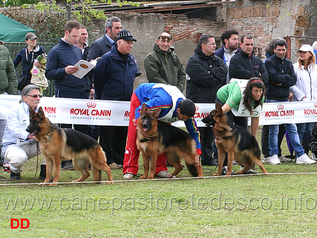 trofeo-andreina-schippa-aglini-03.jpg - Si decide il vincitore del Trofeo Memorial Andreina Schippa Aglini 