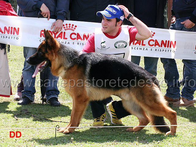 uran-di-val-rufina-7mb-giovanissimi-maschi.jpg -  Uran di Val Rufina 7 MB Giovanissimi maschi 