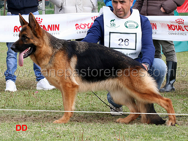 uva-del-rione-antico-2ecc-lavoro-femmine.jpg - Uva del Rione Antico 2 Ecc Lavoro femmine 