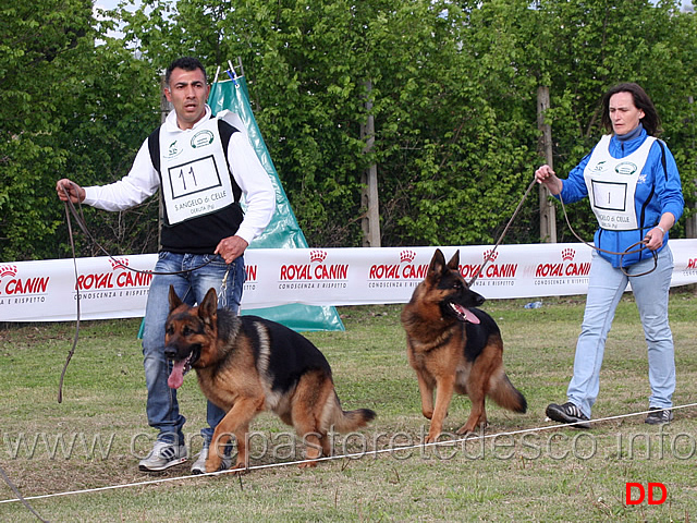 zago-del-timius-e-amigo-elzmundungsraum.jpg -  Zago del Timius  e Amigo v Elzmundungsraum