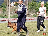 cuccioloni-maschi-aiko-delle-belle-torri