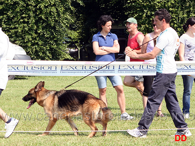 partenza-lavoro-femmine-toska-di-casa-mary.jpg - Partenza Lavoro femmine. Toska di Casa Mary