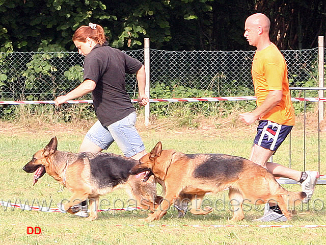 121.jpg - Classe Lavoro femmine Freja dell'Alpe Adria e Zeta del Murnighello