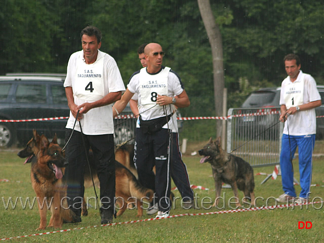 140.jpg - Xampo Alpe Adria. Barone Ambra Selvaggia, Eros Ambra Selvaggia, Iwan Casa Nosella