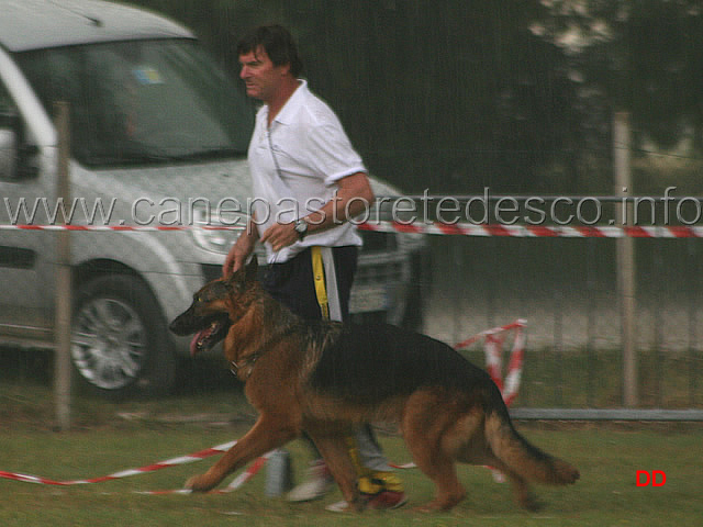 144.jpg - Classe Lavoro maschi sotto il diluvio: Hobby Alpe Adria al fuss