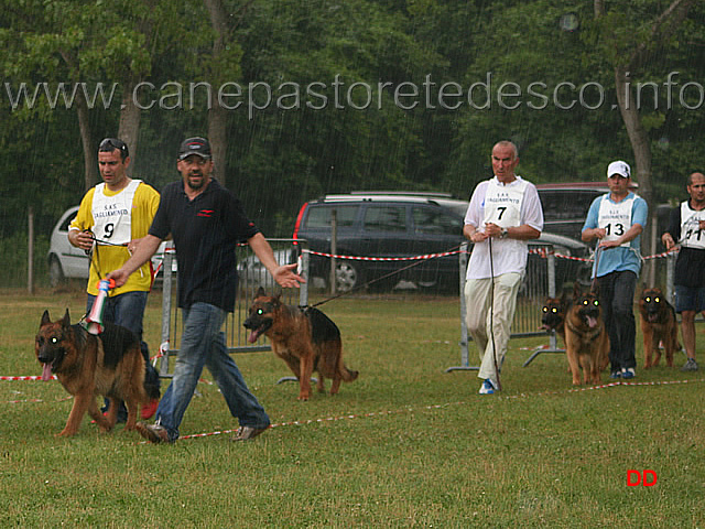 148.jpg - Classe Lavoro maschi sotto il diluvio: Aron, Hobby, Gio, Jolly