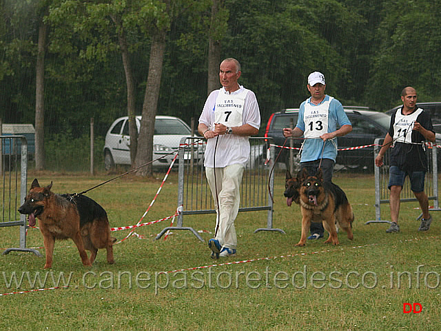 149.jpg - Classe Lavoro maschi sotto il diluvio: Hobby, Giò, Jolly