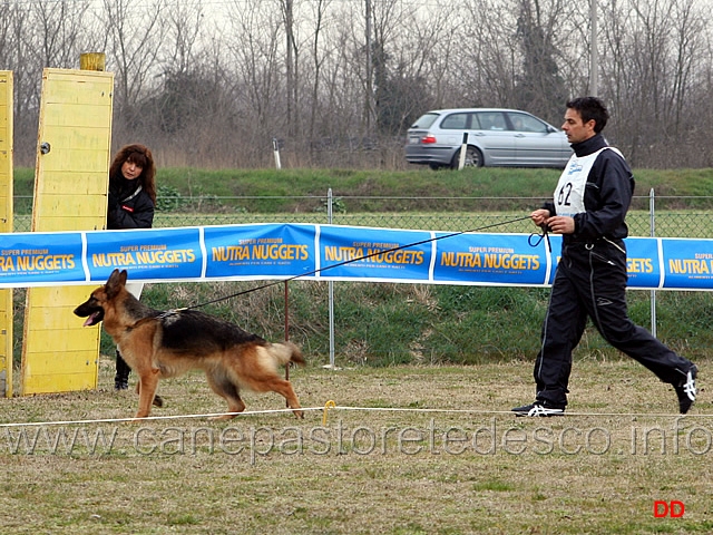 007.jpg - Giovanissime femmine: Nala di Casa Schwarz