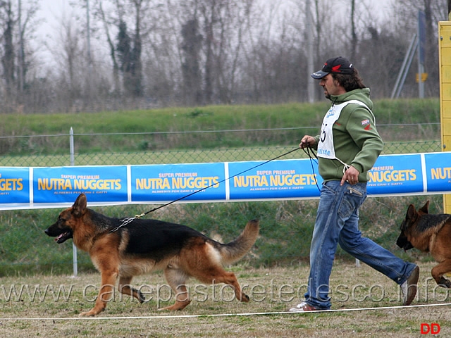 017.jpg - Giovanissimi maschi Ron della Bocca del Vesuvio