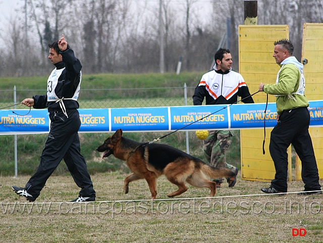 020.jpg - Giovanissimi maschi Grando jr di Casa Ines