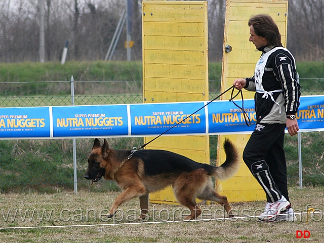 021.jpg - Giovanissimi maschi Bruno di Casa Preti