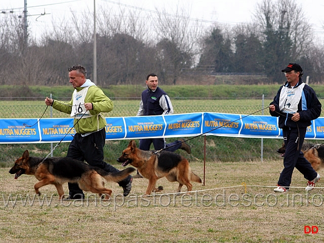 037.jpg - Giovani femmine Exe di Val Rufina e Xara del Giarizzo