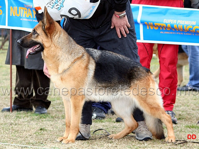 040.jpg - Giovani femmine 2 Uva dei Lupi della Maddalena