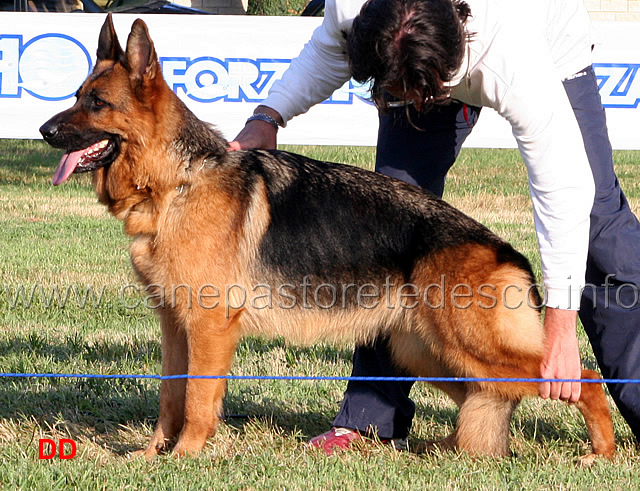 lavoro-femmine-gabry-degli-iapigi-4Ecc.jpg - Gabri degli Iapigi Attacco Insufficiente Lavoro femmine (foto Raduno SAS Frosinone, luglio 2010)