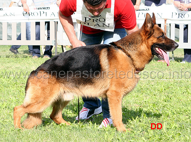 Mork-dei-Profeti-2-Ecc.jpg - Mork dei Profeti (foto Trofeo Walter Gorrieri 2010)