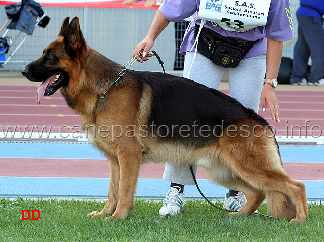 mork-dei-profeti.jpg - Mork dei Profeti (foto Campionato SAS 2009)