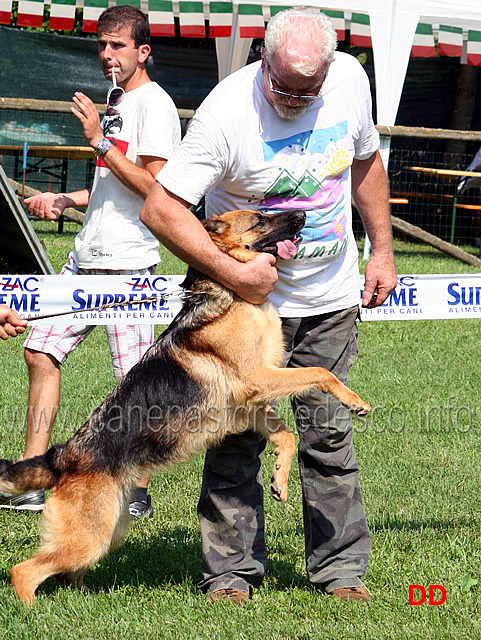 gaia-del-ceresio-con-il-proprietario.jpg - Gaia del Ceresio  Rit. Lavoro femmine (foto Raduno Sezionale SAS Bergamo)