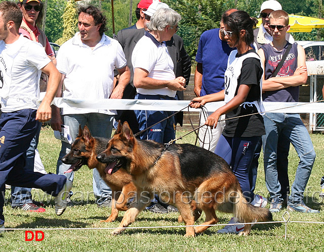 fedor-alta-costa-lyon-di-casa-beggiato.jpg - Fedor dell'Alta Costa, Lyon di Casa Beggiato