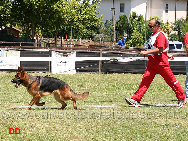 giovanissimi-maschi-jason-del-colle-verde.jpg - Giovanissimi maschi Jason del Colle Verde