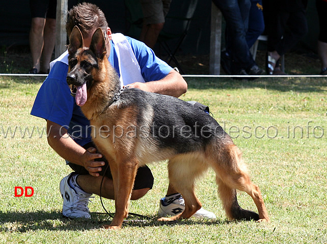 ida-di-chiara-sorgente-02.jpg - Cucciolone femmine 8 MB Ida di Chiara Sorgente