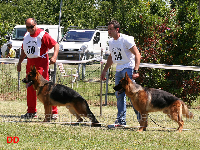 partenza-giovanissimi-maschi.jpg - Giovanissimi maschi