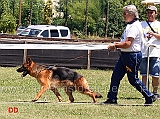 giovanissime-femmine-nera-blackhof