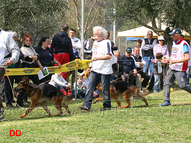 dillinger-di-xara-e-fox-di-casa-montello.jpg - Dillinger di Xara e Fox di Casa Montello