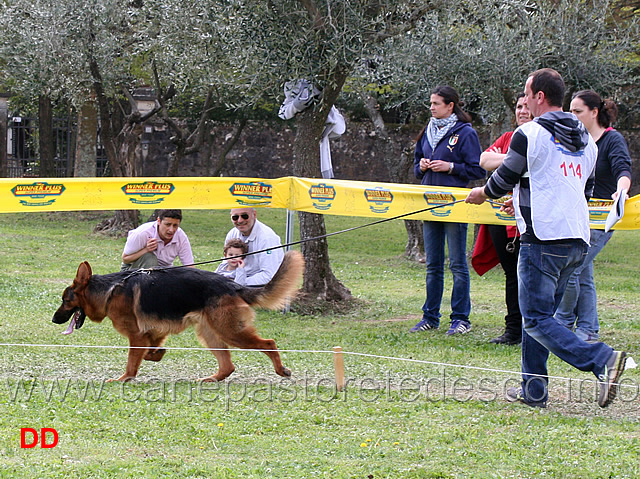 figo-dei-colli-storici.jpg - Figo dei Colli Storici 