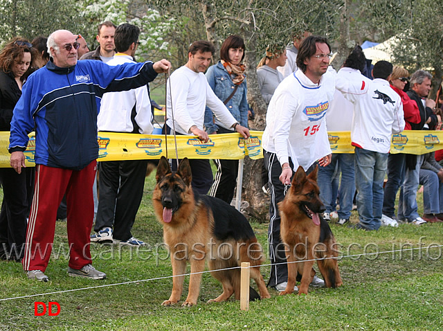 finalisti-trofeo-bordignon-helmo-blackhof-extra-dei-colli-storici.jpg - Finalisti Trofeo Franco Bordignon : Helmo Blackhof e Extra dei Colli Storici 