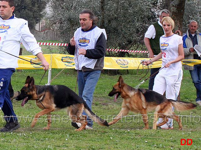 giovani-femmine-ayda-e-vanta-del-monte-poliziano.jpg - Giovani femmine Ayda e Vanta del Monte Poliziano 