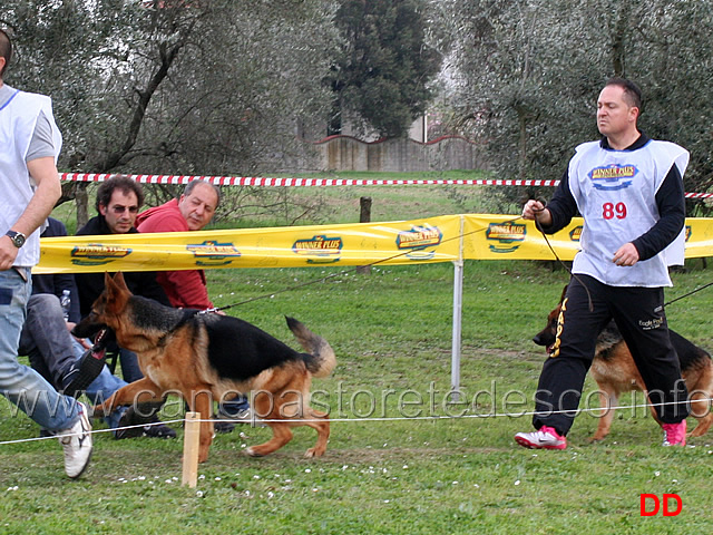 giovani-femmine-moira-dei-colli-di-uzzano.jpg - Giovani femmine Moira dei Colli di Uzzano 