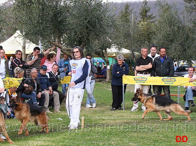 giovanissimi-maschi-vello-ulmental-blackhof-valentinientis.jpg - Giovanissimi maschi Vello Ulmental e Blackhof Valentinientis 