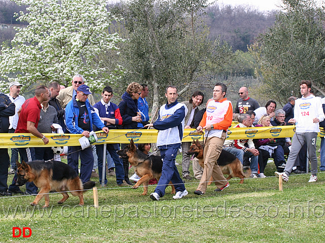 giovanissimi-maschi.jpg - Giovanissimi maschi 