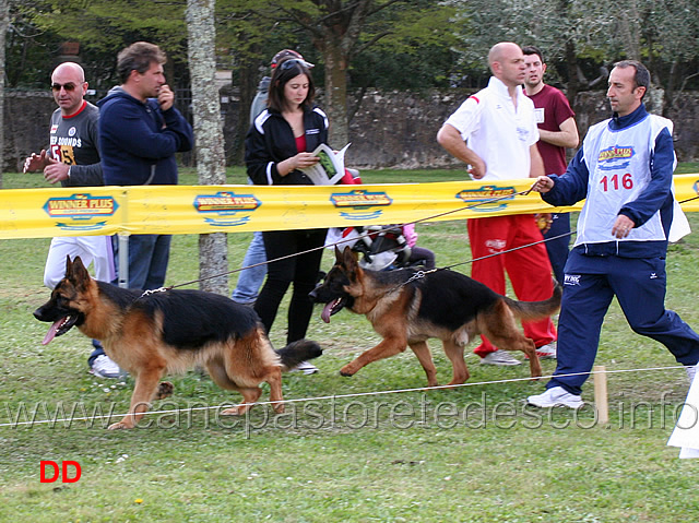 helmo-blackhof-arco-della-grande-valle.jpg - Helmo Blackhof e Arco della Grande Valle 