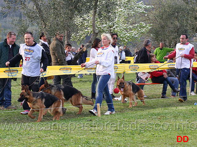 lavoro-femmine-02.jpg -  Afra del Seprio, Uva del Rione Antico e Indra di Casa El-Ma