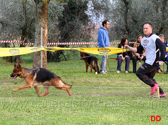 lavoro-femmine-afra-del-seprio.jpg - Lavoro femmine Afra del Seprio 