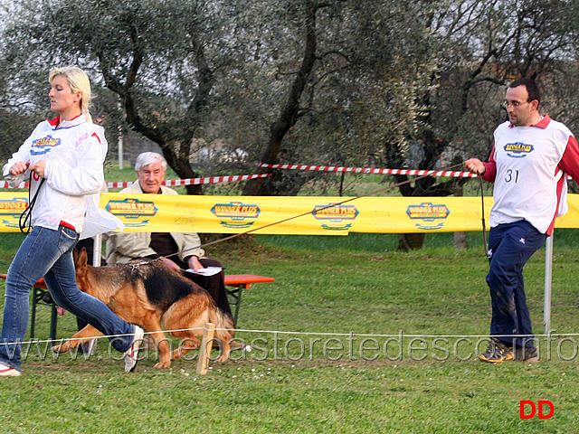 lavoro-femmine-indra-di-casa-el-ma.jpg - Lavoro femmine Indra di Casa El-Ma