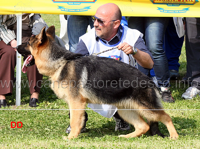 milo-dei-monti-della-laga.jpg - Milo dei Monti della Laga 7  MP Juniores maschi 