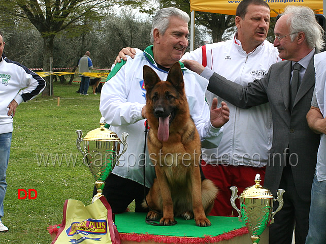 moira-dei-colli-di-uzzano-1mb-giovani-femmine-02.jpg - Moira dei Colli di Uzzano 1 MB Giovani femmine 