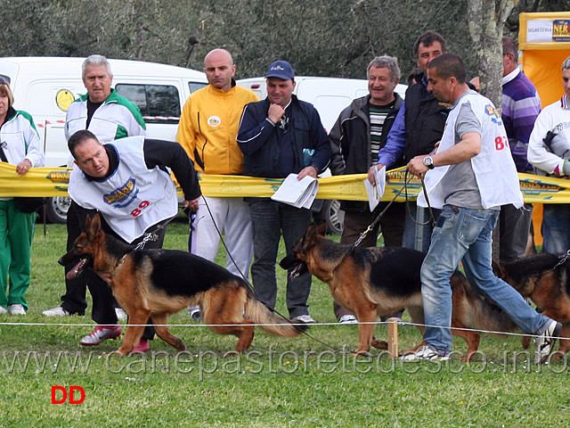 moira-dei-colli-di-uzzano-passa-al-primo-posto.jpg - Moira dei Colli di Uzzano passa in prima posizione