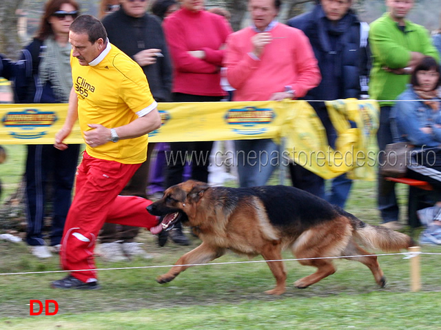 momo-degli-achei-07.jpg - Massimo Colombini con Momo degli Achei