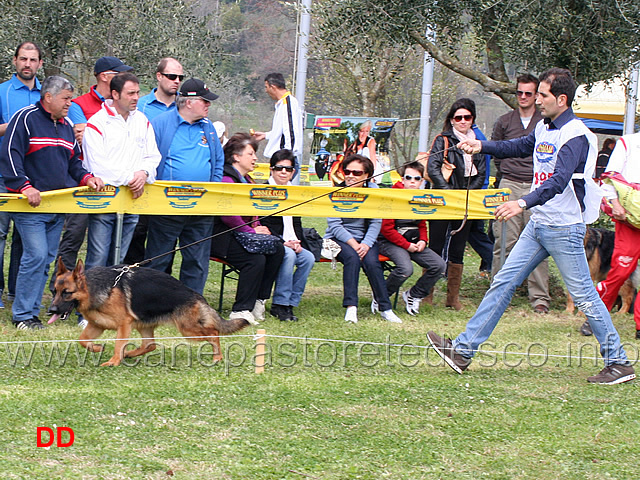 nenzy-di-casa-luca.jpg - Nenzy di Casa Luca 