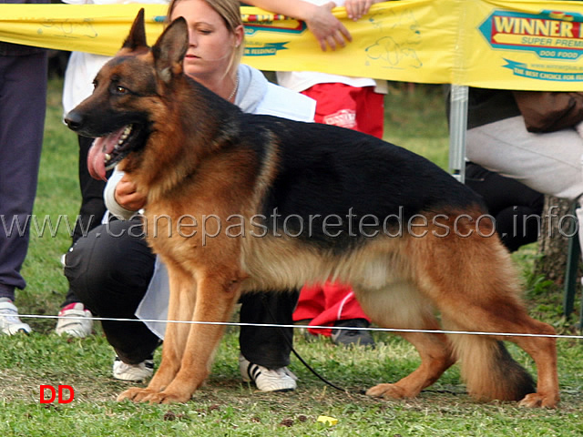 nero-della-gens-pontina-03.jpg - Nero della Gens Pontina 7 Ecc Lavoro maschi 