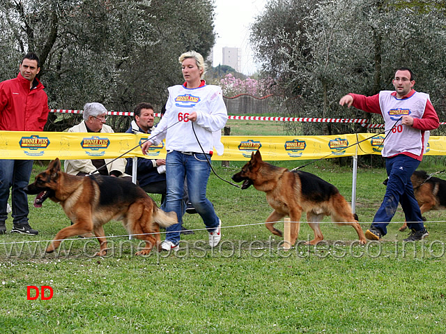 nico-dell-alto-pino-yago-della-grande-medina.jpg - Nico dell'Alto Pino e Yago della Grande Medina 