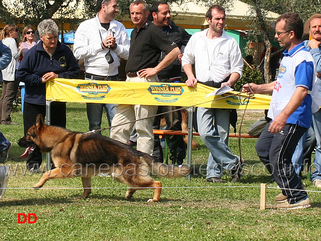 nitro-di-fossombrone-02.jpg - Nitro di Fossombrone 