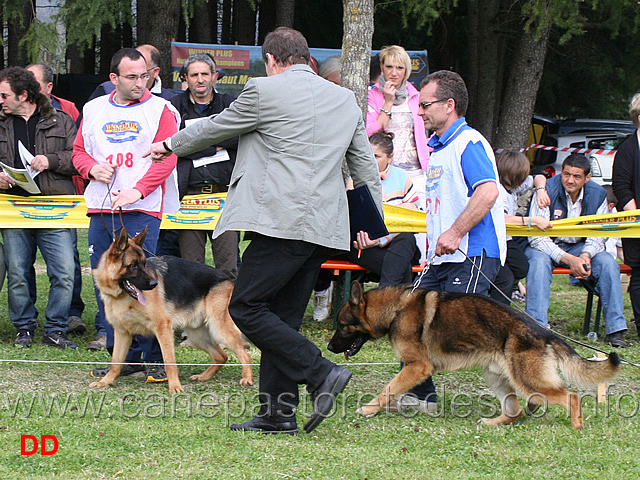 nitro-di-fossombrone-recupera-posizioni-02.jpg - Nitro di Fossombrone recupera poszioni 