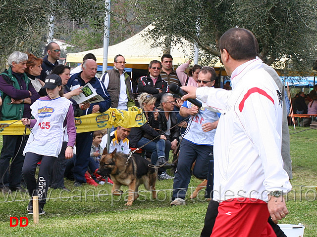 nitro-di-fossombrone-recupera-posizioni-03.jpg -  Nitro di Fossombrone recupera posizioni 