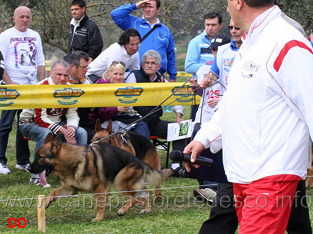 nitro-di-fossombrone.jpg -  Nitro di Fossombrone