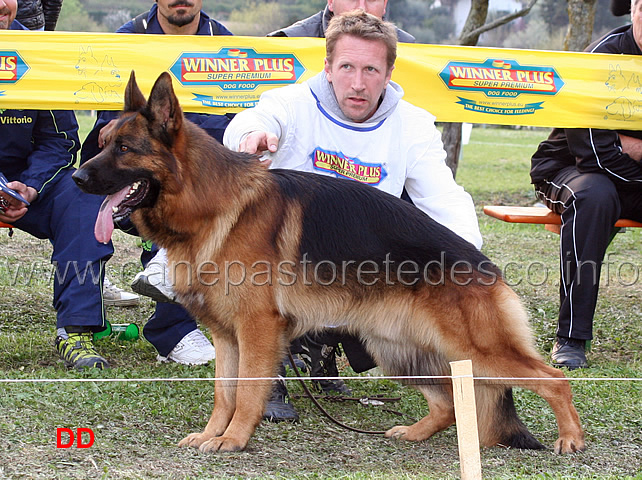 omen-radhaus-1ecc-lavoro-maschi.jpg -  Omen Radhaus 1 Ecc Lavoro maschi 