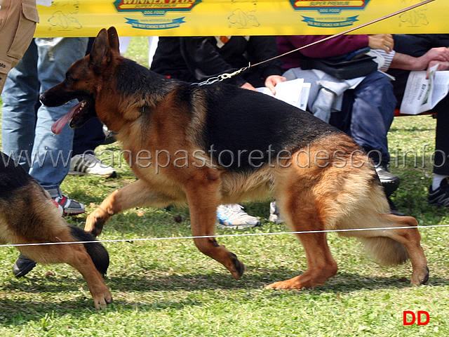 pako-degli-achei.jpg - Pako degli Achei 